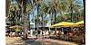 2301 Collins Ave # 1139. Rental  34