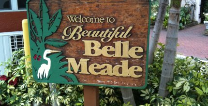 Belle Meade homes