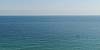 6001 N OCEAN DR # 706. Rental  5
