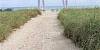 9801 Collins Ave # 8Z. Condo/Townhouse for sale in Bal Harbour 14