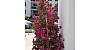 2301 Collins Ave # 337. Condo/Townhouse for sale  15