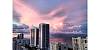 1945 S Ocean Dr # 2311. Rental  3