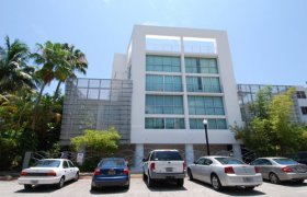 Ilona Lofts. Condominiums for sale in South Beach